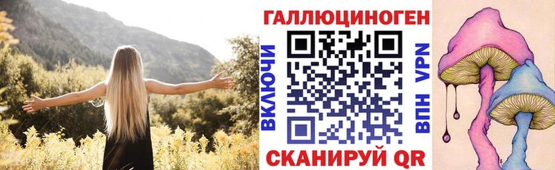 гидра зеркало  Новошахтинск  Псилоцибиновые грибы Psilocybe  наркошоп 